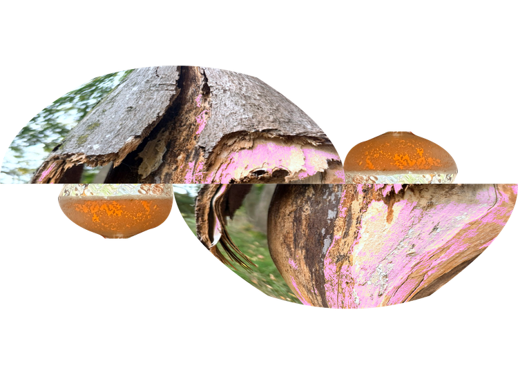 Play's the Thing: October Links